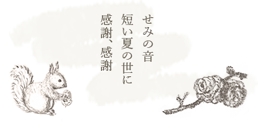 季節のメッセージ ベランダの花も枯れ霜の朝ありがとう